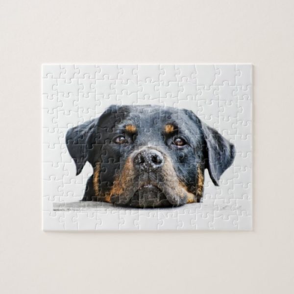 Cute Rottweiler | Dog Breed Face Jigsaw Puzzle
