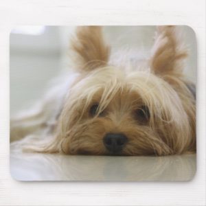 Cute Yorkie Mouse Pad