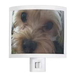 Cute Yorkie, Yorkshire Terrier, Night Light