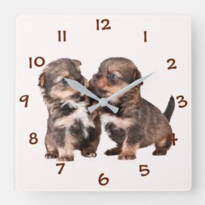 Cute Yorkshire Puppies Square Wall Clock