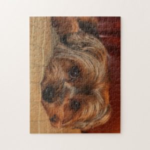 Cute yorkshire terrier dog,yorkie jigsaw puzzle