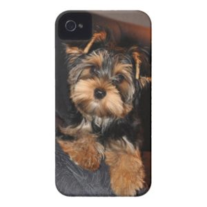 Cute Yorkshire Terrier Puppy Dog Case-Mate iPhone Case
