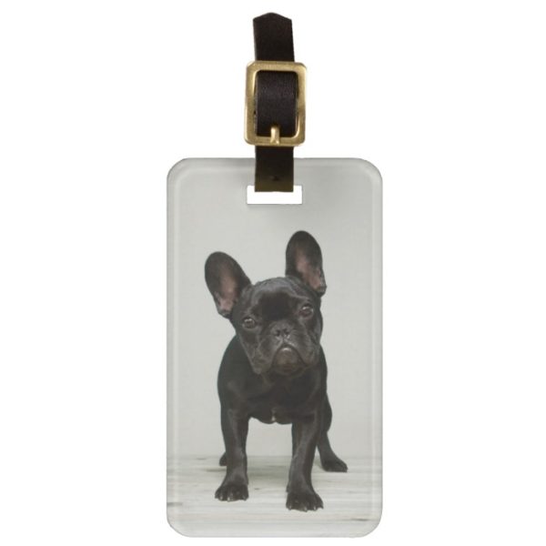 Cutest French Bulldog Puppy Bag Tag