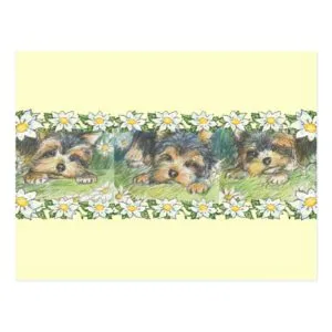 Daisy Dogs Yorkie Puppies Postcard