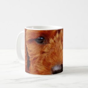Dog Poodle Young Animal Coffee Mug