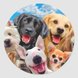 Dogs take group selfie classic round sticker