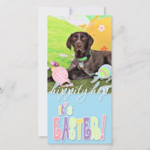Easter - German Shorthair Pointer - Kaiser Holiday Card