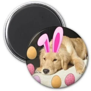 Easter Golden Retriever Magnet