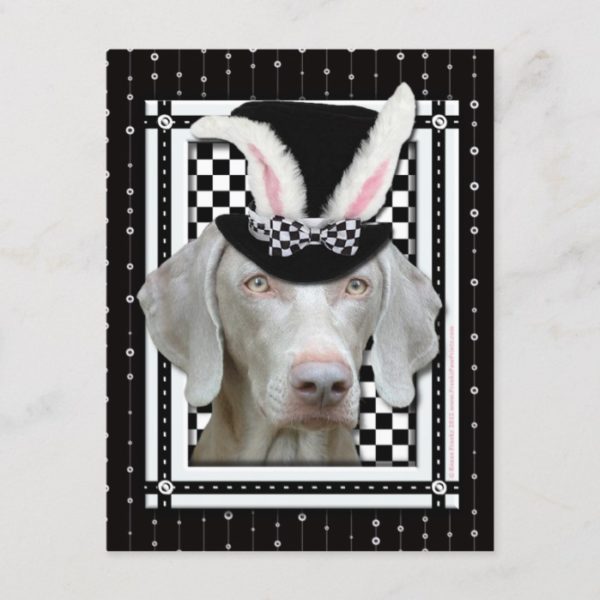 Easter - Some Bunny Loves You - Weimaraner Holiday Postcard