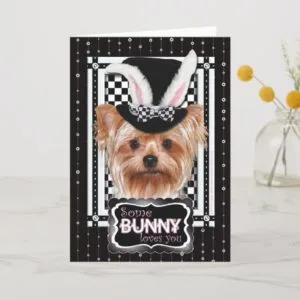 Easter - Some Bunny Loves You - Yorkie Holiday Card