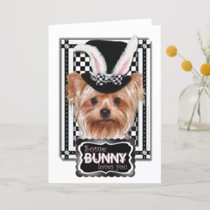 Easter - Some Bunny Loves You - Yorkie Holiday Card