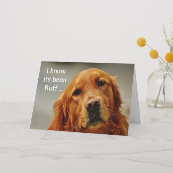 Encouragement/ Get Well Cute Golden Retriever Dog Card