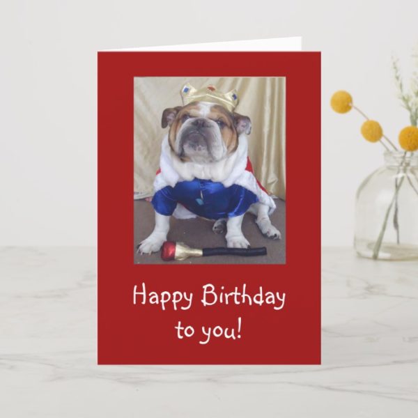 English Bulldog Birthday Card, Royalty Card
