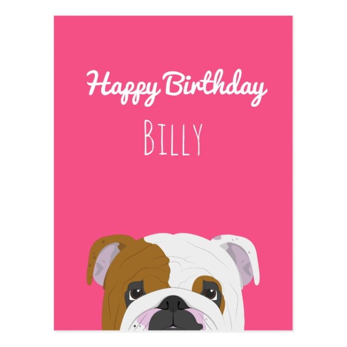 English Bulldog Cute Dog Portrait Illustration Postcard