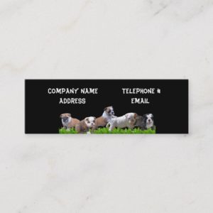 English Bulldog Products Mini Business Card