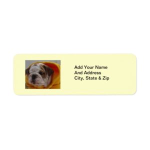 English Bulldog Puppy Return address labels