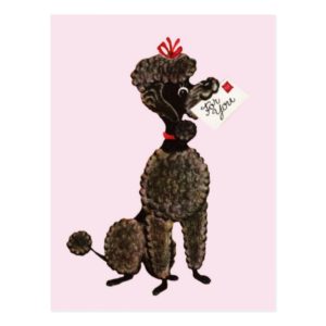 For You Black Poodle Postcard
