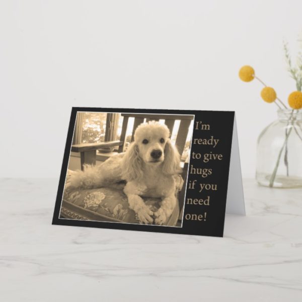 Free Poodle Hugs For A Friend Card
