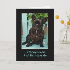 French Bulldog Birthday Card Funny