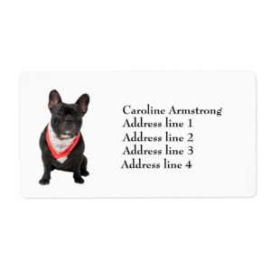 French Bulldog cute photo custom address labels