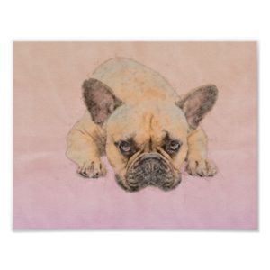 French Bulldog -Frenchie Dog Poster