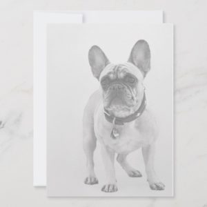 French Bulldog Holiday Card