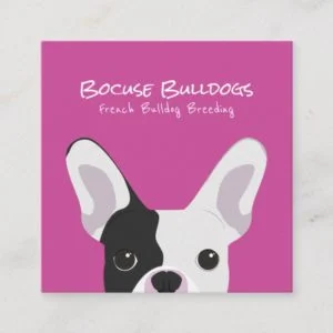 French Bulldog Portrait Square Business Card