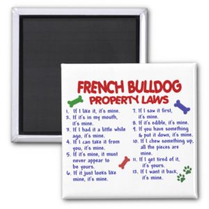 FRENCH BULLDOG Property Laws 2 Magnet