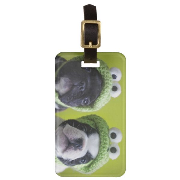French Bulldog Puppies With Frog Hats Luggage Tag