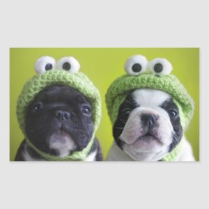 French Bulldog Puppies With Frog Hats Rectangular Sticker