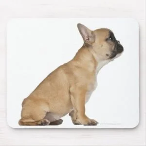 French Bulldog puppy (3,5 months old) Mouse Pad