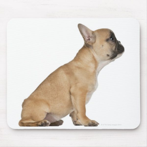 French Bulldog puppy (3,5 months old) Mouse Pad