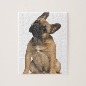 French Bulldog puppy (7 months old) Jigsaw Puzzle