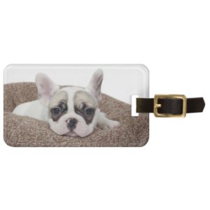 French Bulldog Puppy Lying In A Dog Bed Luggage Tag
