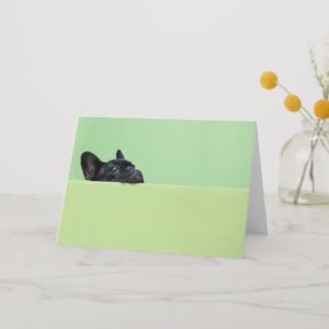 French Bulldog Puppy Peering Over Wall Card