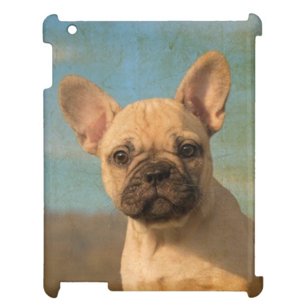 French Bulldog Puppy Portrait Vintage Tablet Case Cover For The iPad 2 3 4