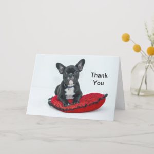 French Bulldog Thank You Card