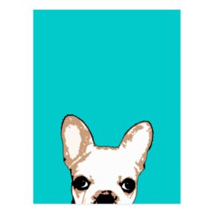French Bulldog Turquoise Pop Art Postcard