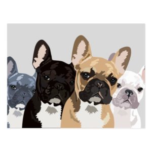 French Bulldogs | Cute Frenchie Bulldog Postcard