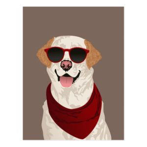 Funky Labrador Retriever for Dog Lovers Postcard