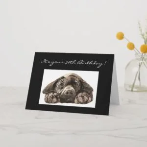 Funny 50th Birthday, Labrador Retriever Card