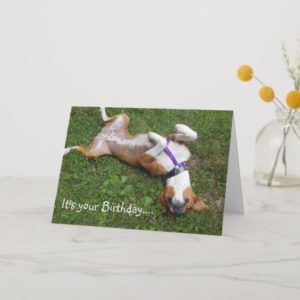 Funny Beagle Birthday Card