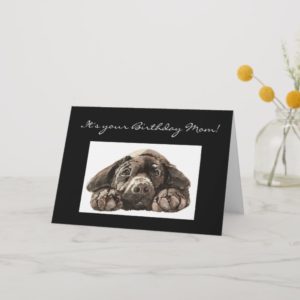 Funny Birthday Mom, Sad Dog, Labrador Retriever Card