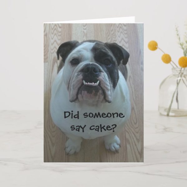Funny English bulldog Happy Birthday Card