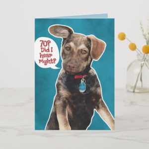 Funny German Shepherd Puppy 70th Birthday Card