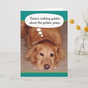 Funny Golden Oldie Golden Retriever Birthday Card