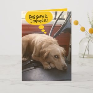 Funny Mixed Breed Dog Belated Birthday Card