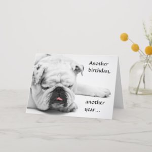 Funny White Bulldog Birthday Card
