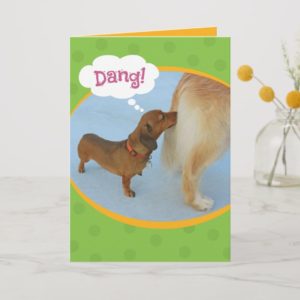 Funny Wiener Sniffing Golden Retiever Birthday Card