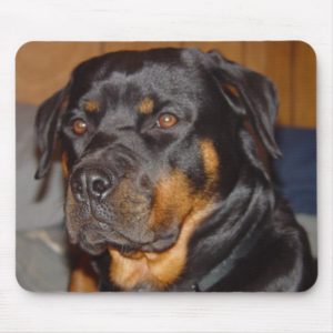 German Rottweiler Mouse Pad